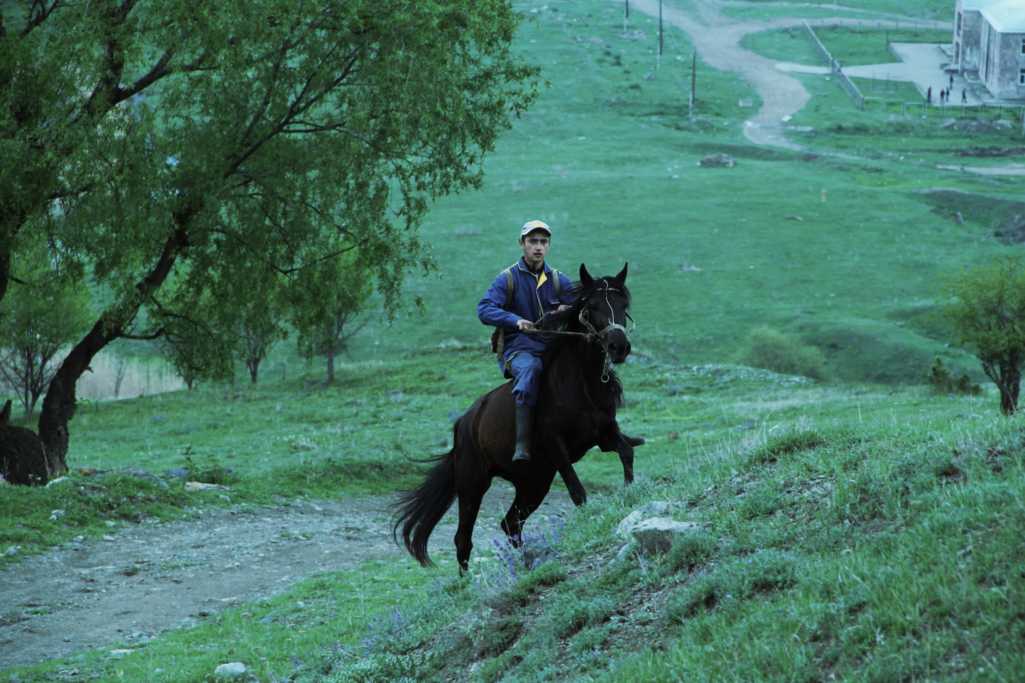 Free Unsplash photo from Davit Grigoryan