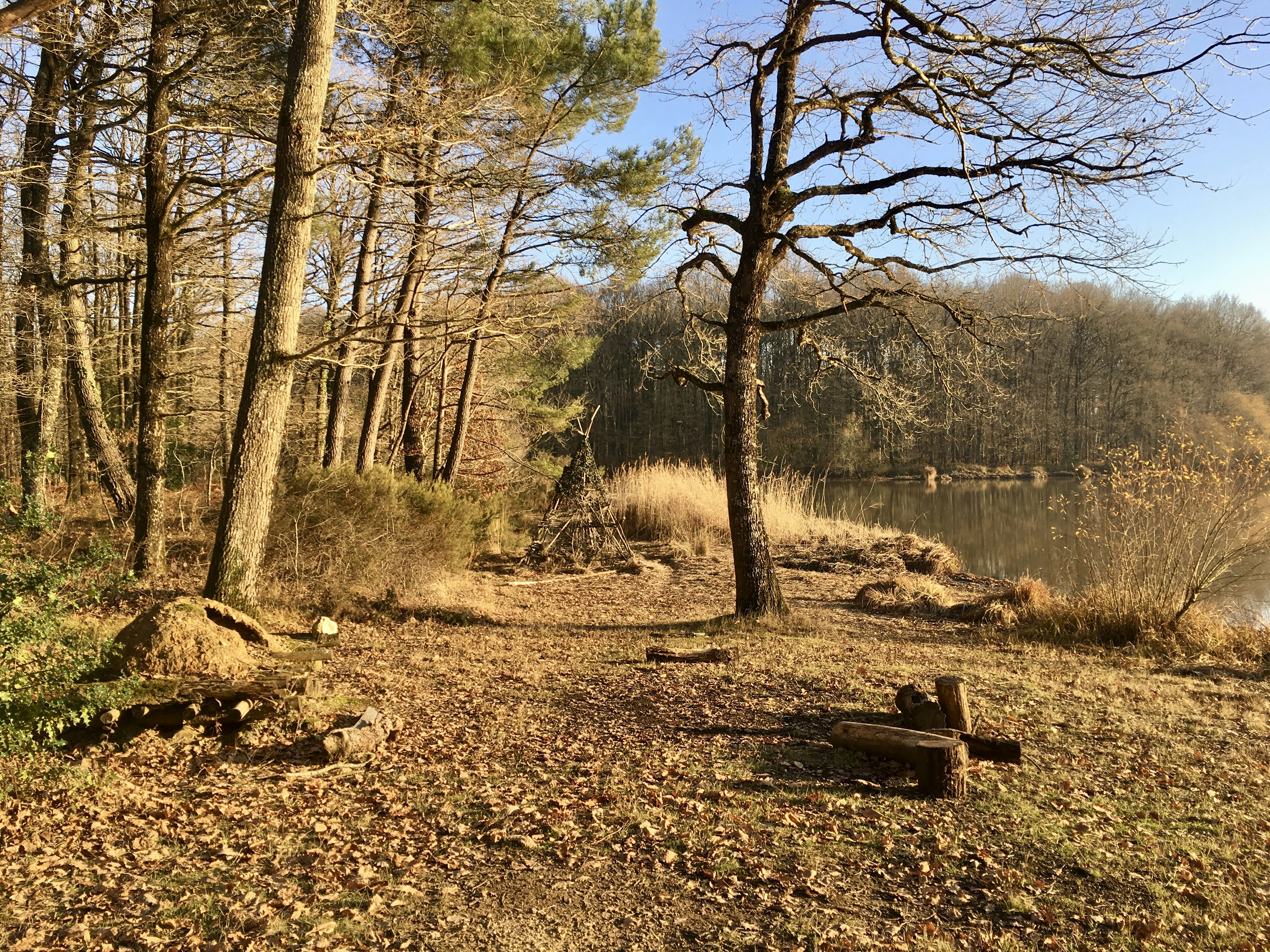 Free Unsplash photo from Benjamin Bail