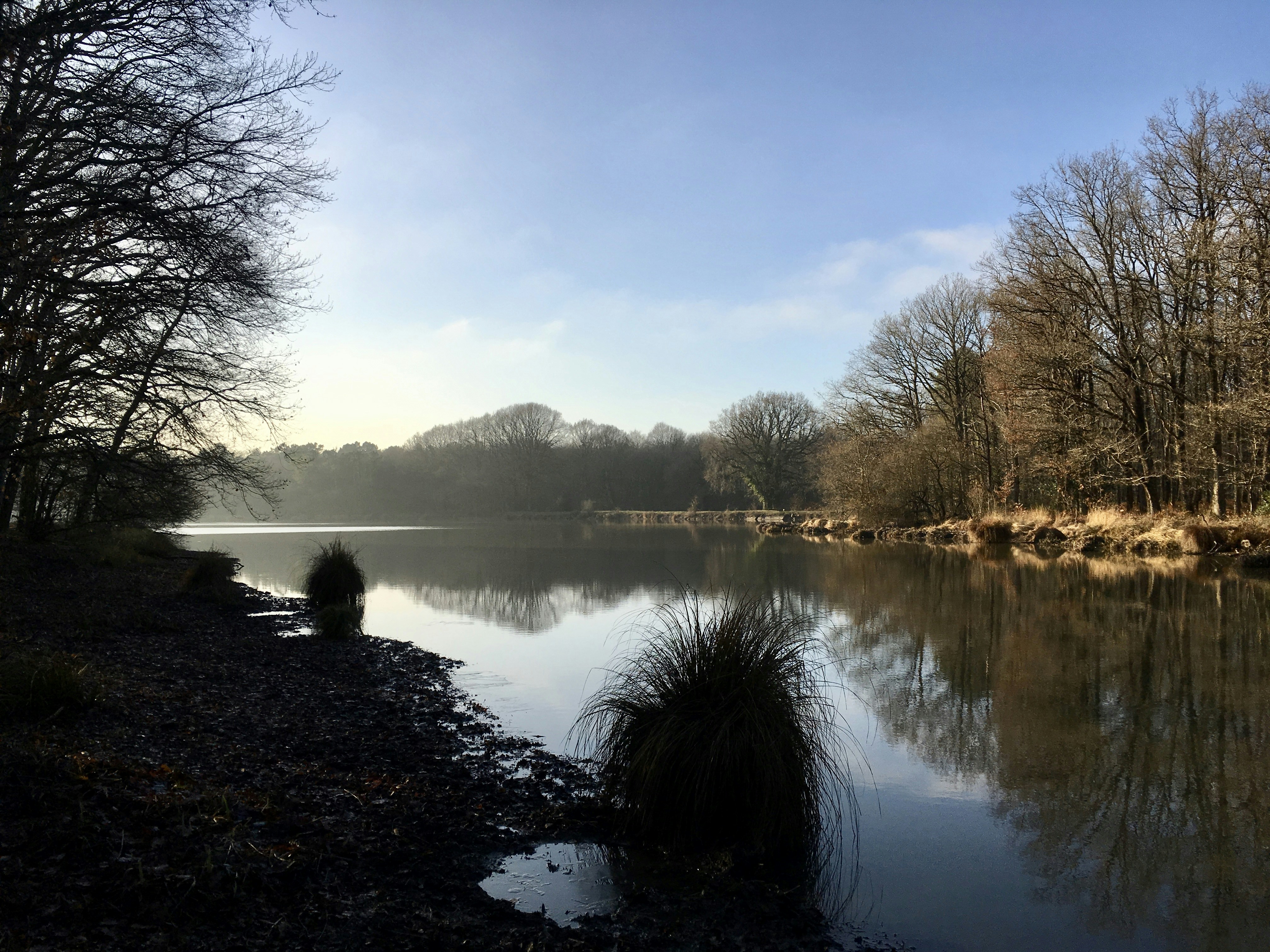 Free Unsplash photo from Benjamin Bail