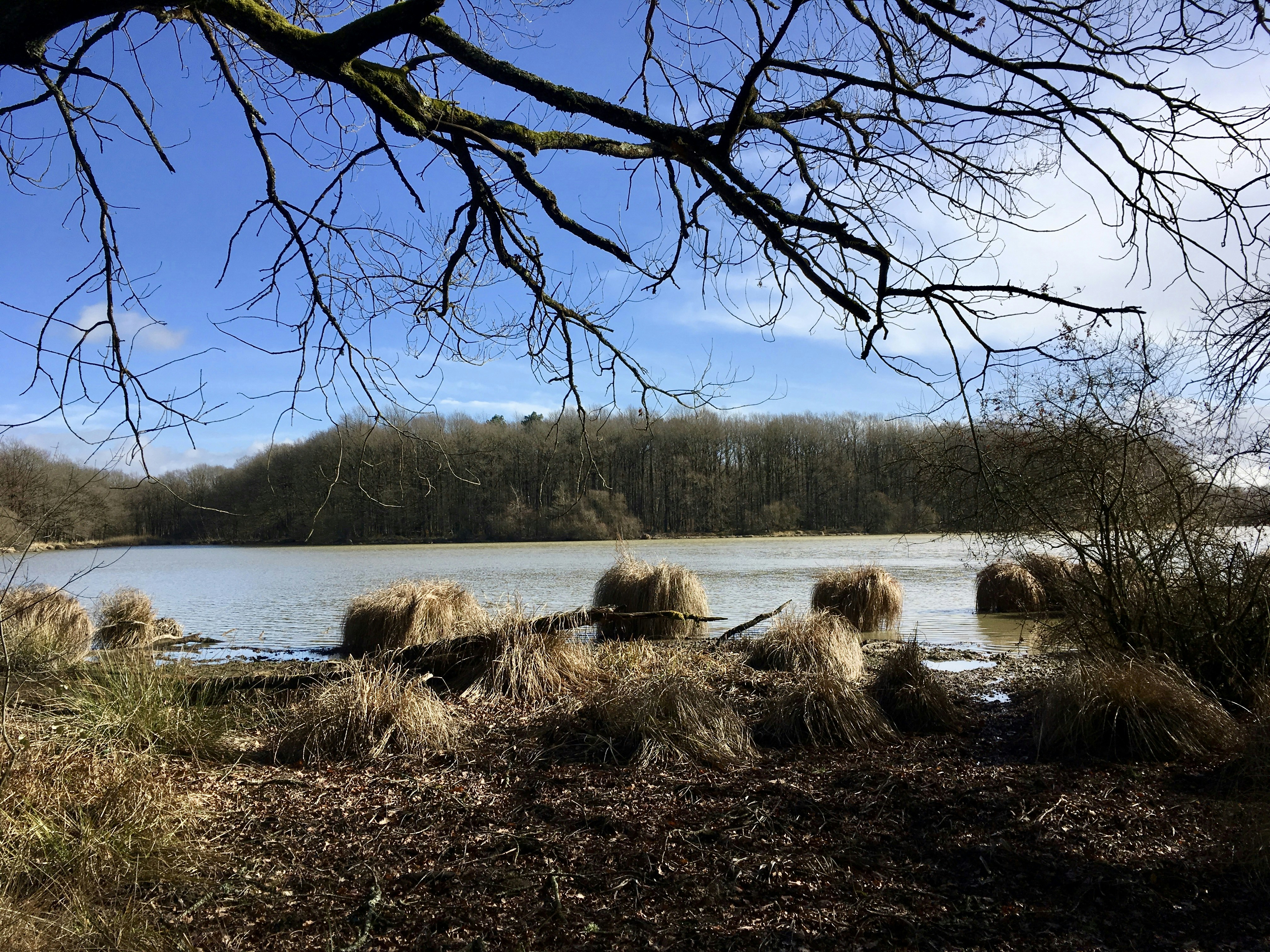 Free Unsplash photo from Benjamin Bail