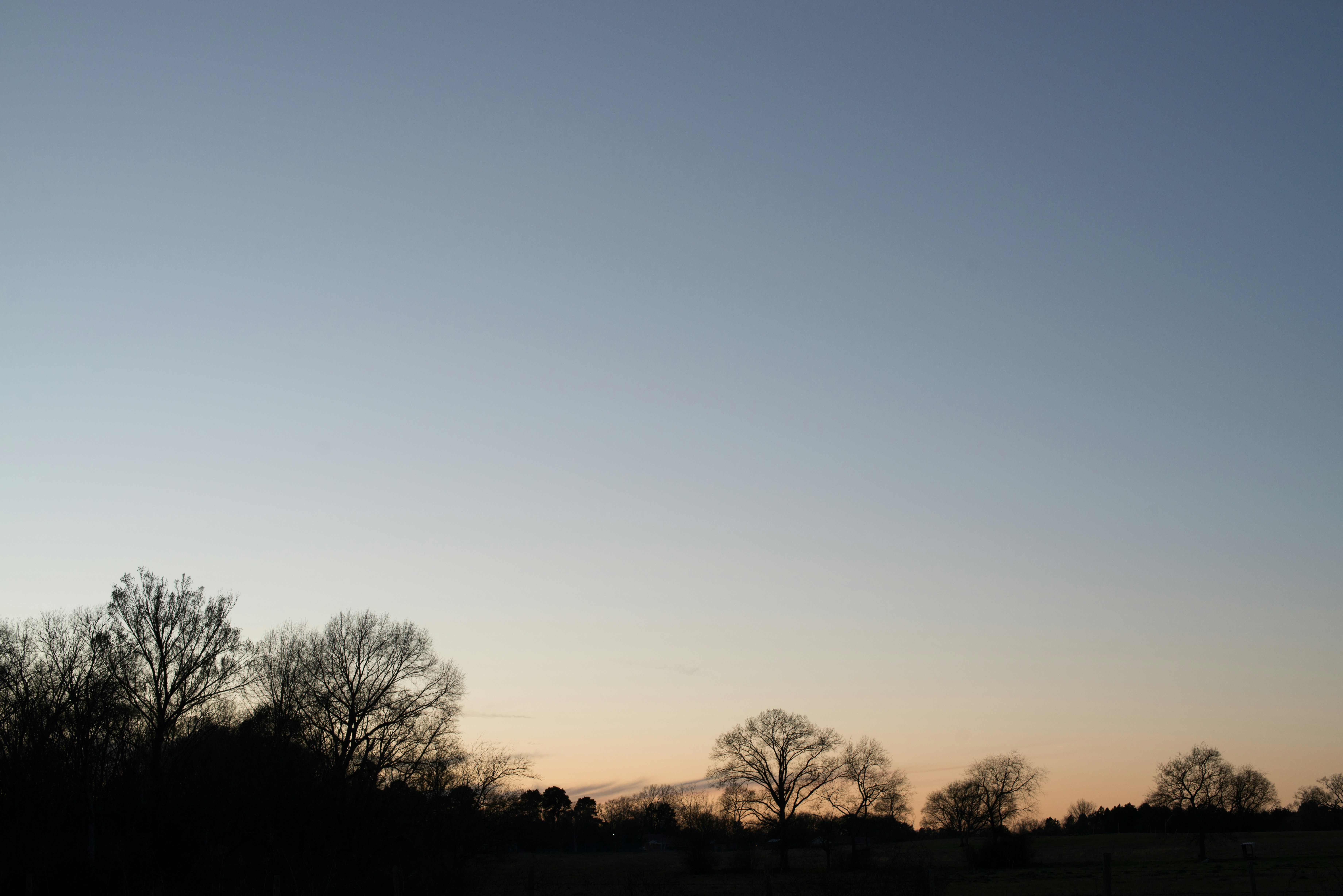 Free Unsplash photo from Eric