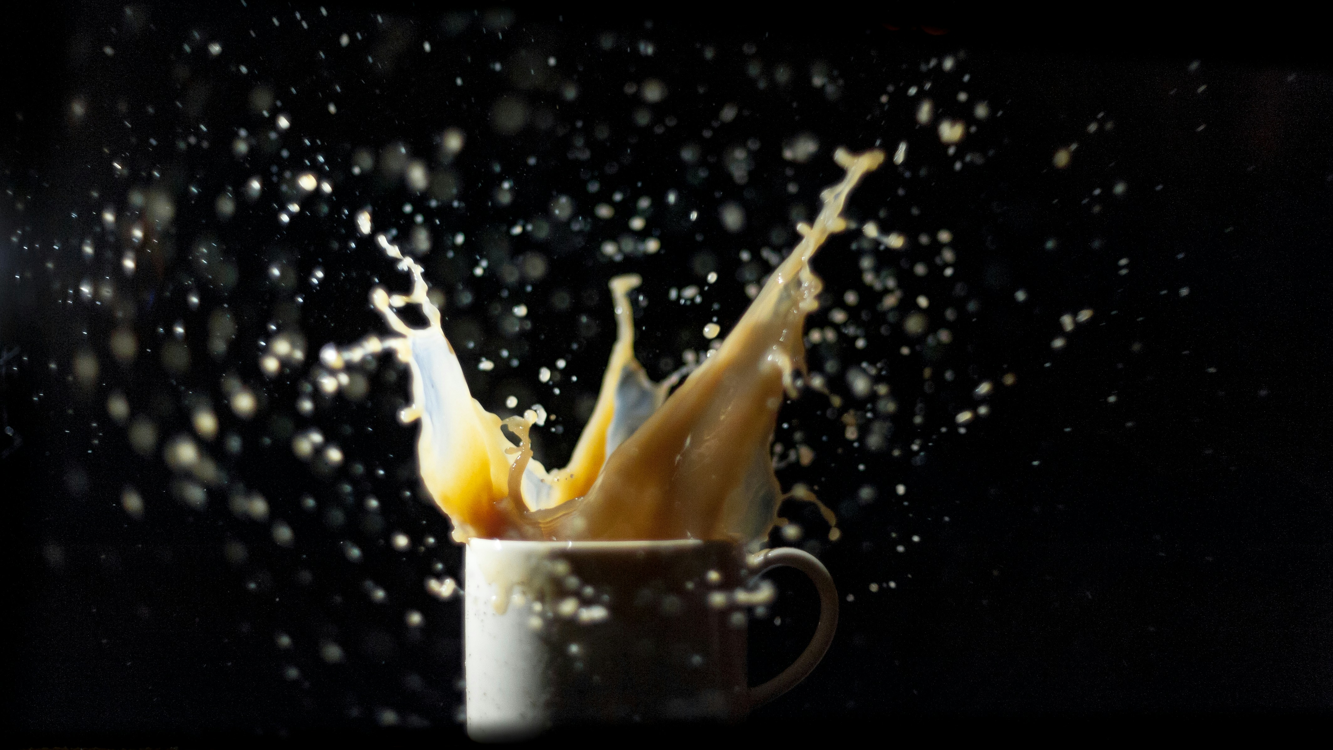 Free Unsplash photo from Jackie Shi