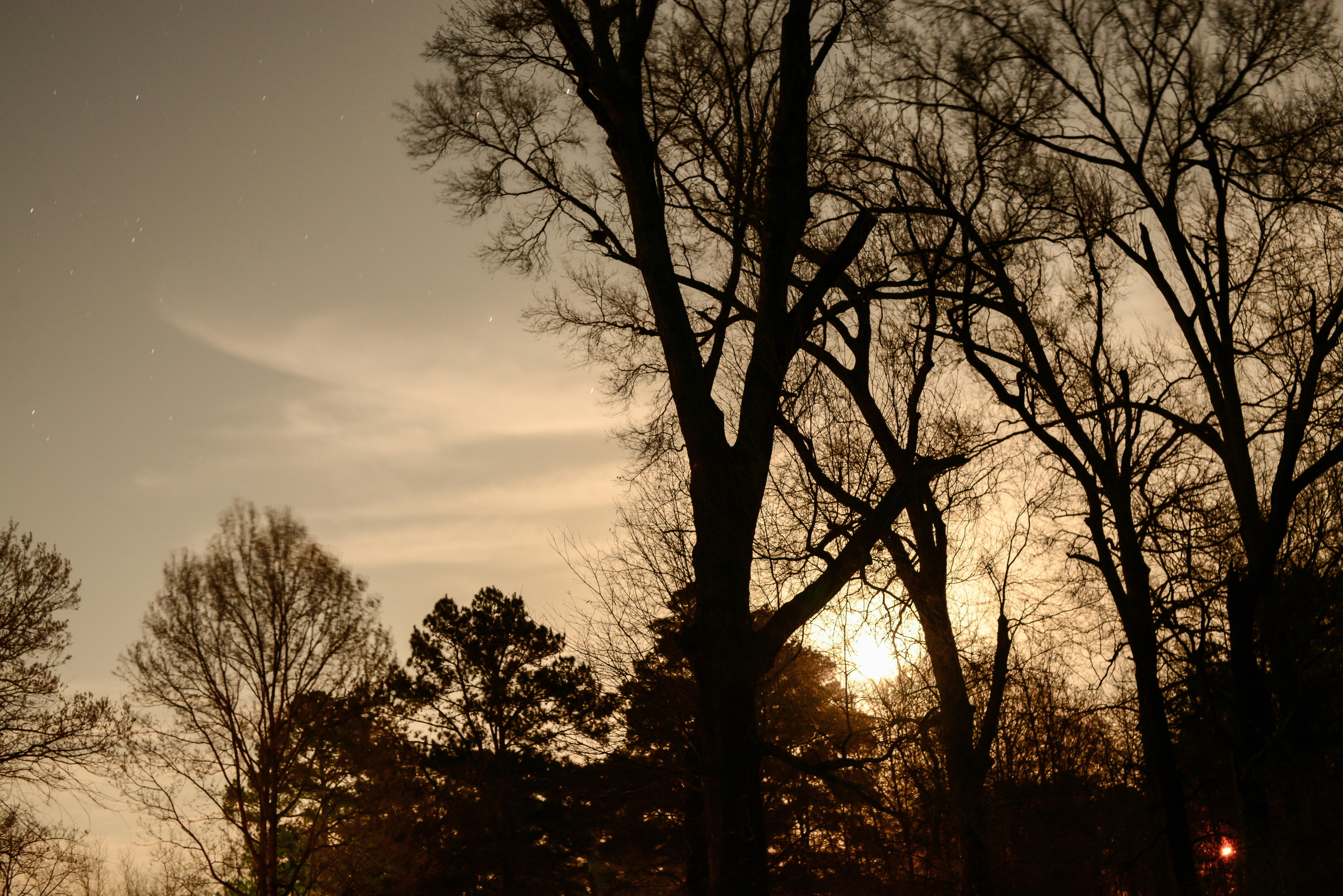 Free Unsplash photo from Eric