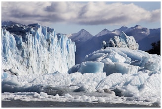 The vast Columbia Icefield with rugged ice formations stretching across the horizon.