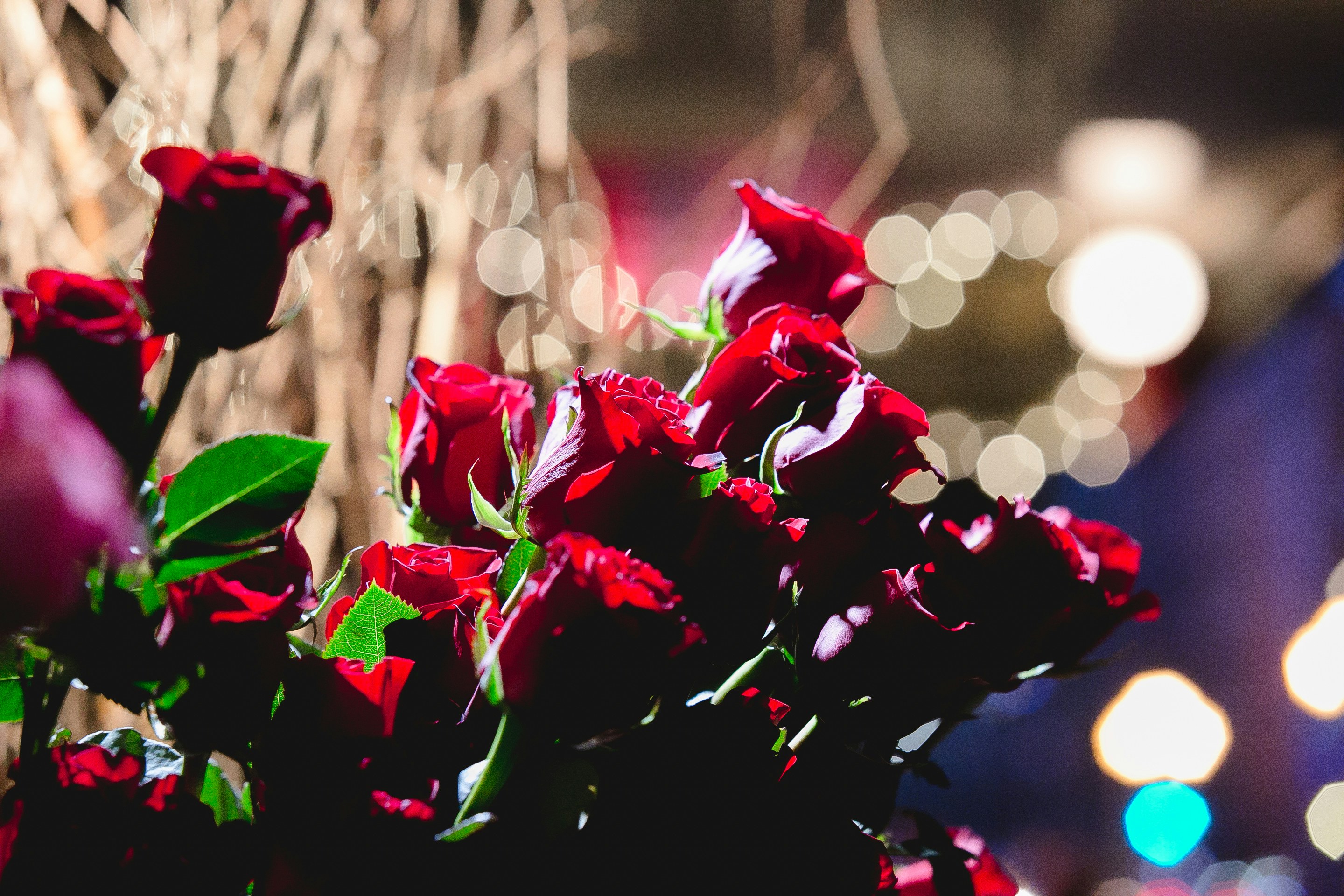 Roses That Last A Year Bouquet Display