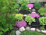 A vibrant garden with a variety of plants, including lush green foliage and clusters of bright pink flowers. Light-colored rocks outline sections of the garden, adding structure, while a small decorative metal sculpture is placed near one of the flower beds. The garden appears well-maintained and incorporates different textures and colors.