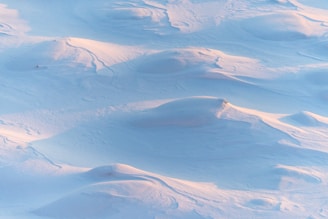 snow field during daytime