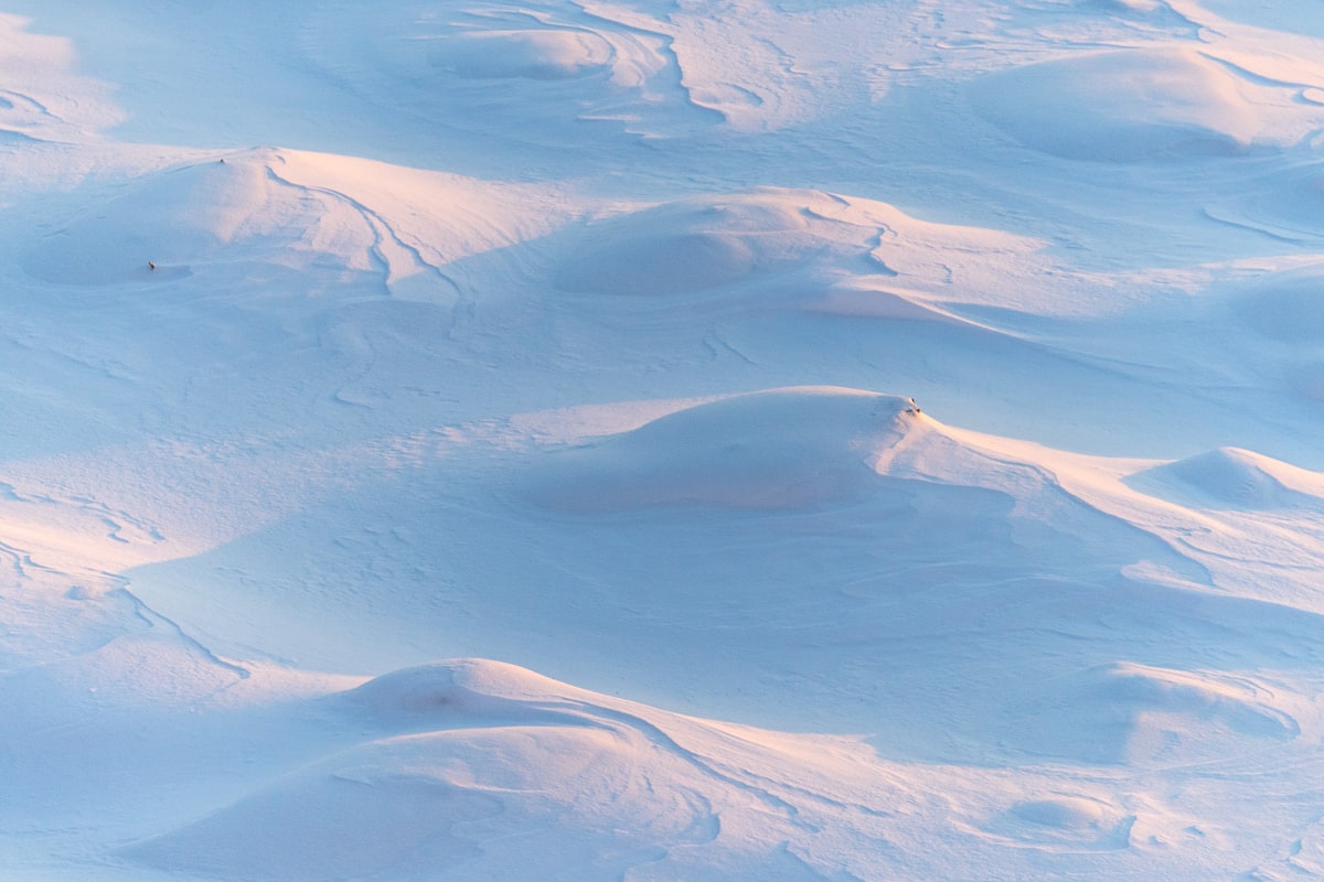 Snow drifts like sand dunes. Photo by Ant Rozetsky / Unsplash