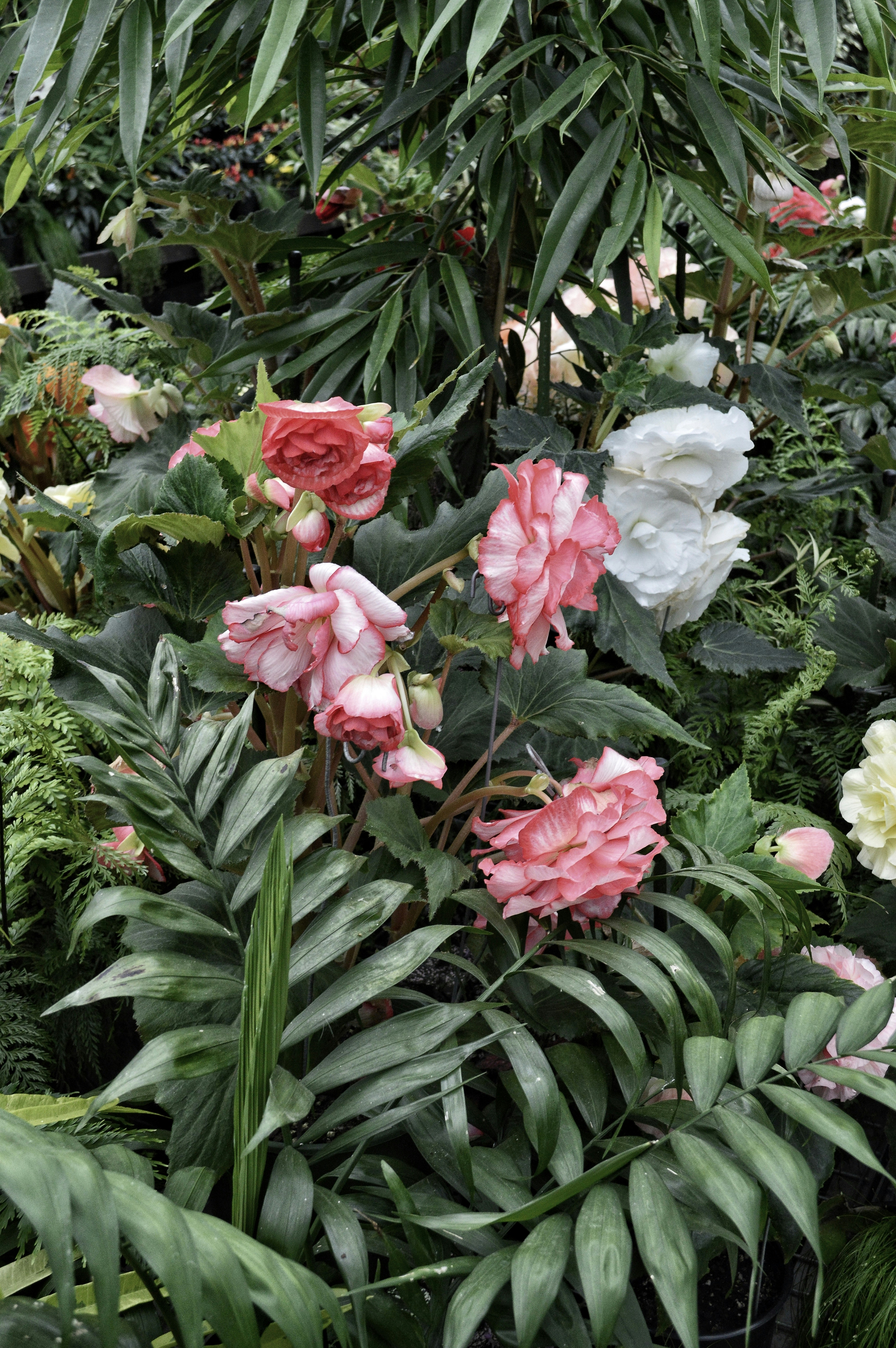 Free Unsplash photo from Jaimie Phillips