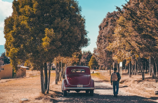 Imagen de Unsplash por Diego PH