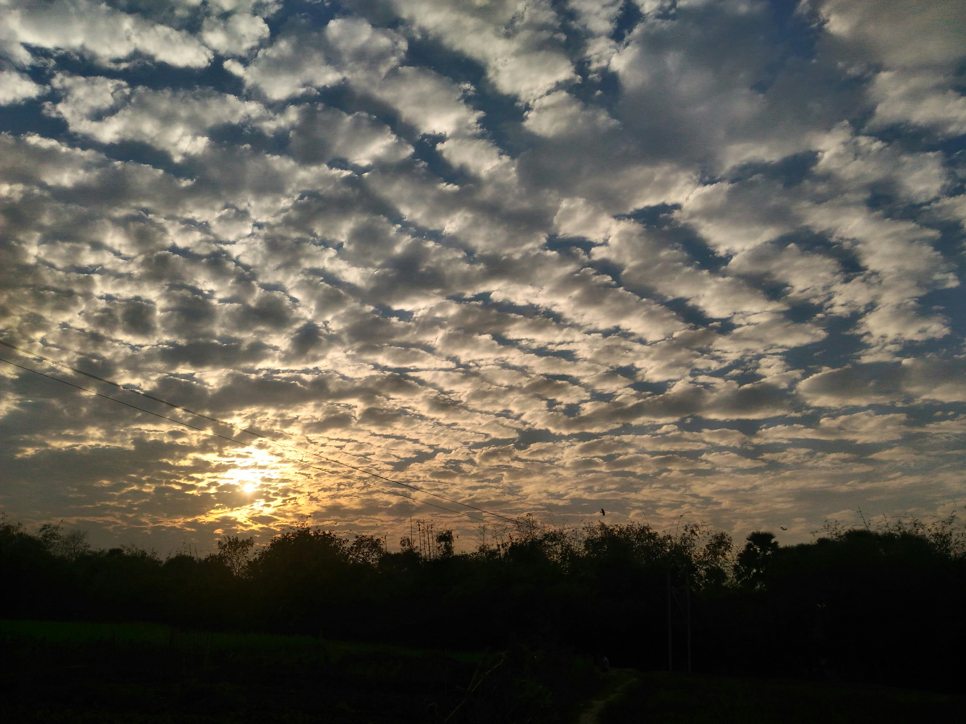 Free Unsplash photo from Md Aftabuddin