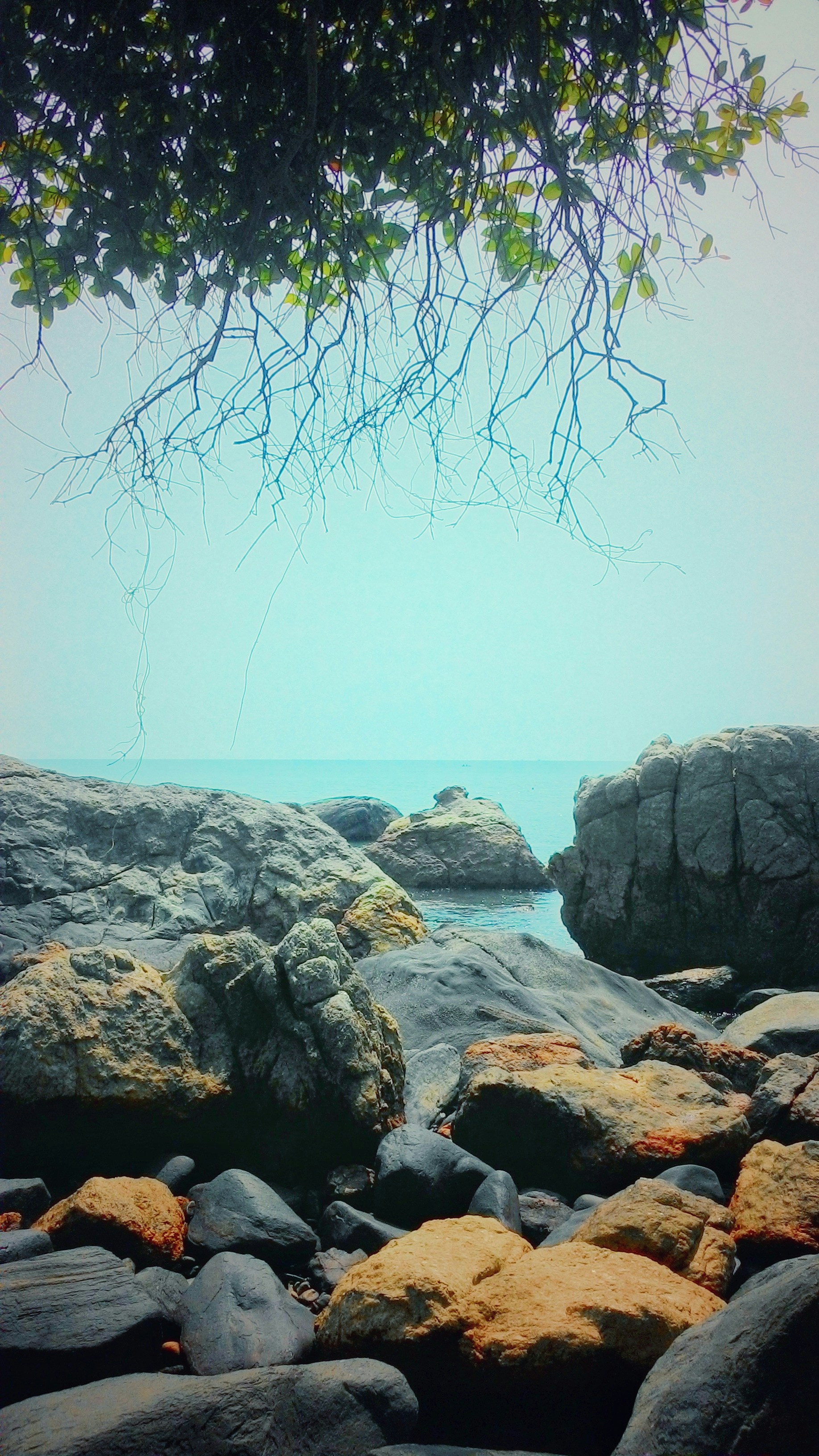 Free Unsplash photo from Nan Du