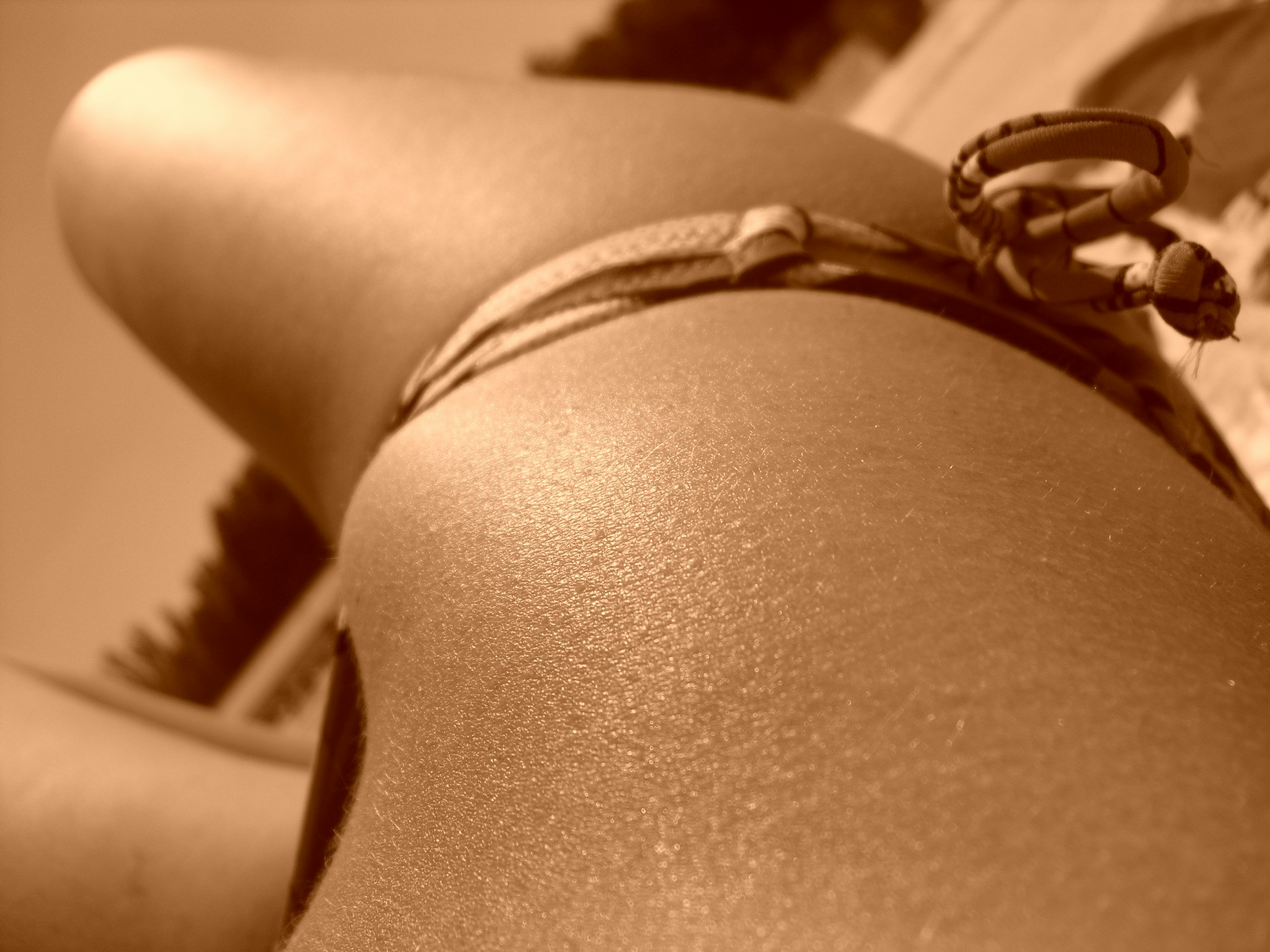 Free Unsplash photo from Lourdes del Río Pisonero