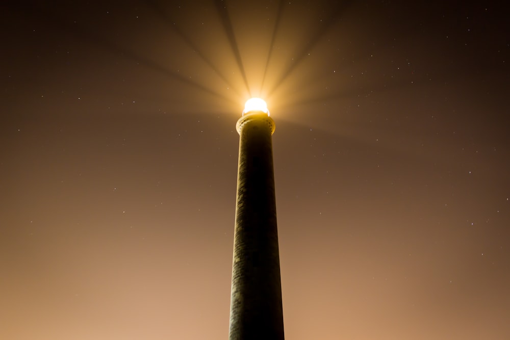 Beacon Of Light Pictures  Download Free Images on Unsplash