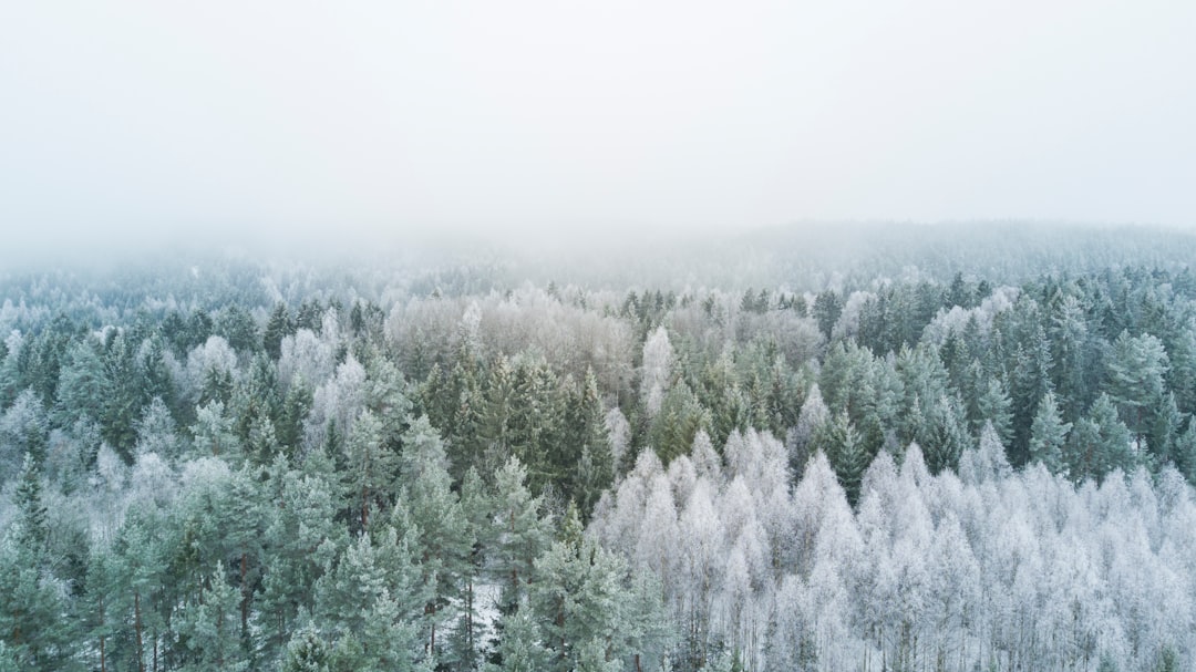 photo of Nesoddtangen Forest near Ormøya