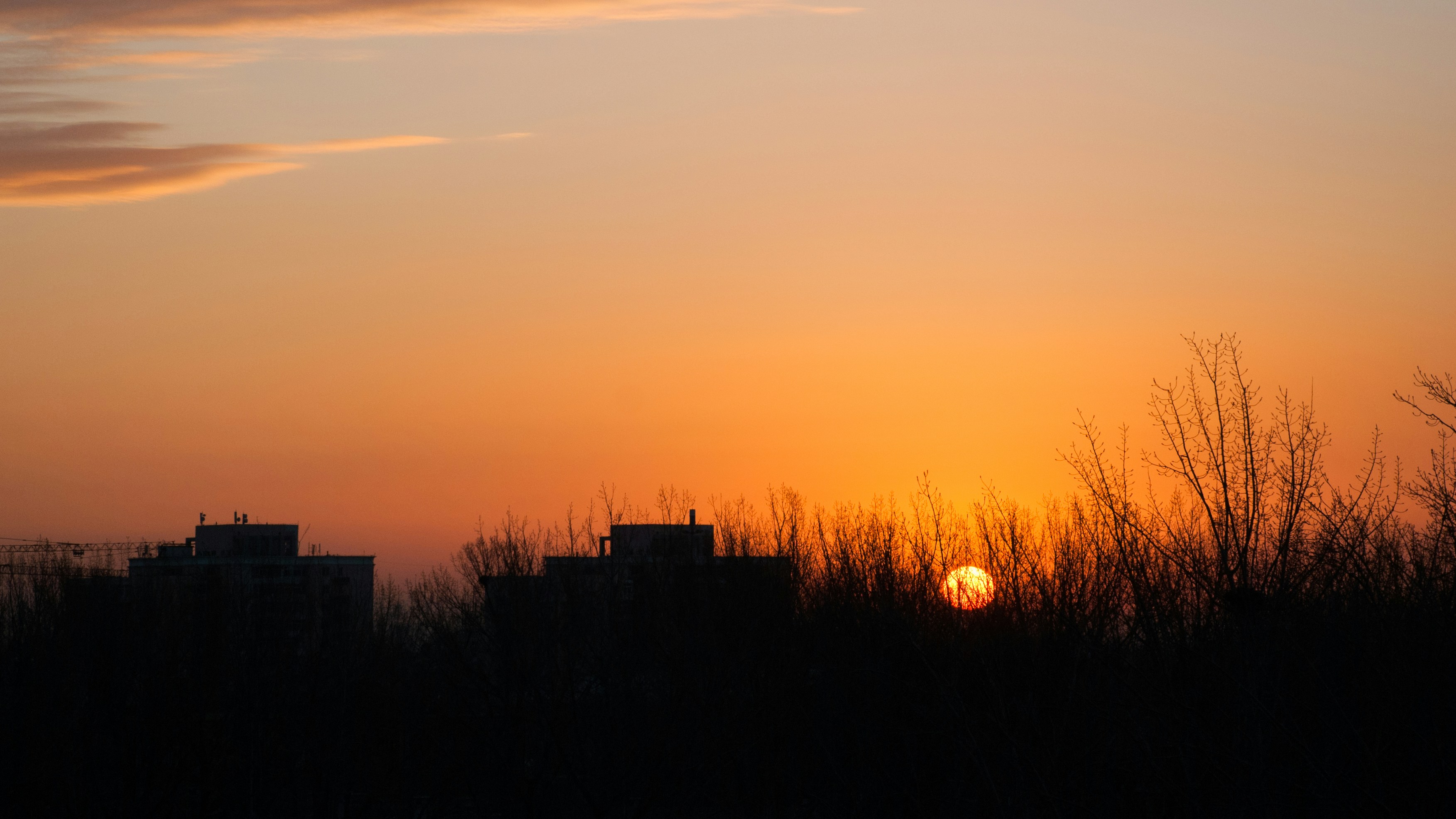 Free Unsplash photo from JJ Ying