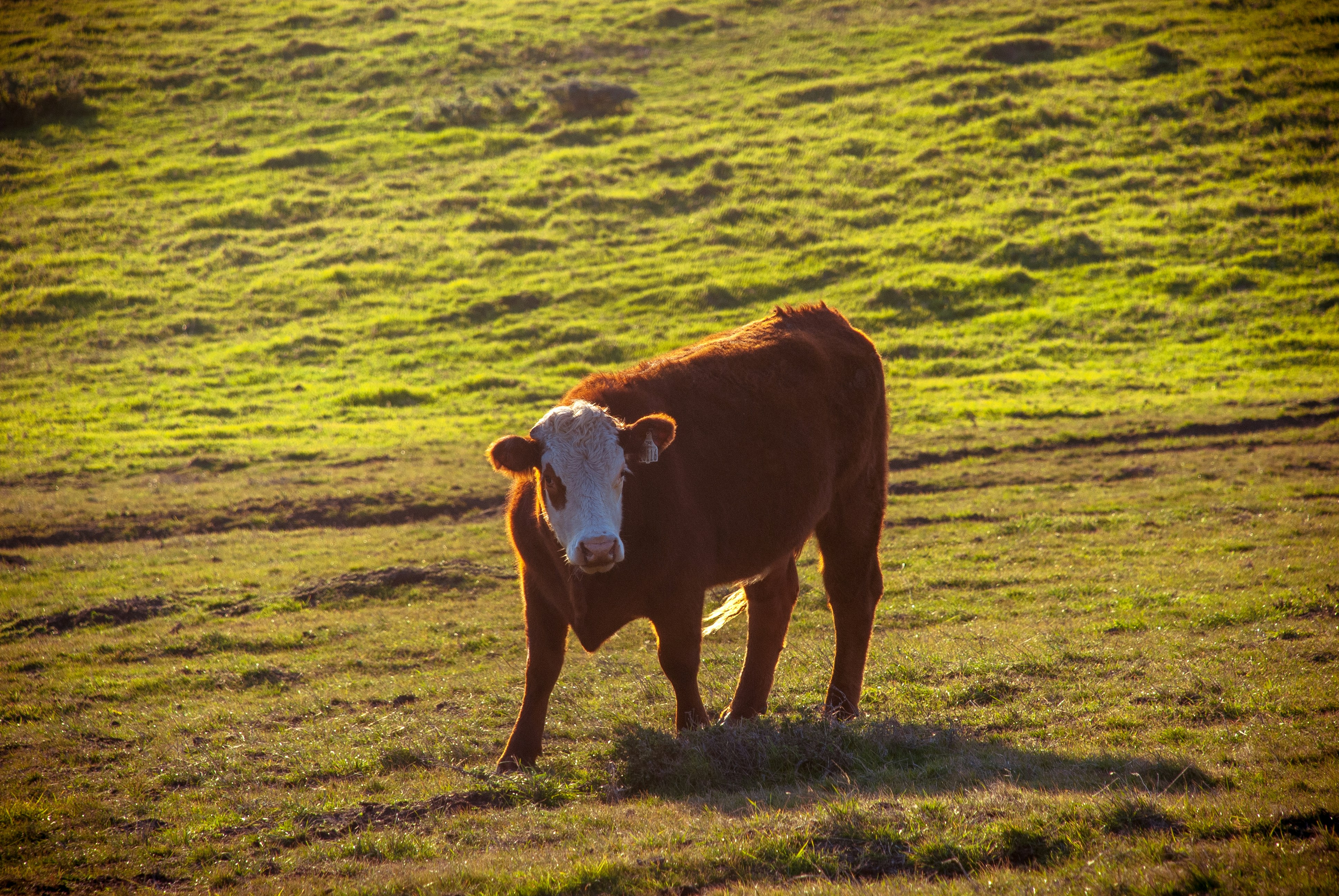 Free Unsplash photo from JJ Ying