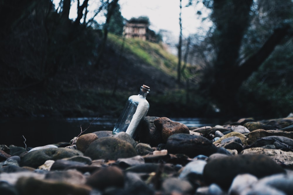 Mensaje en una botella