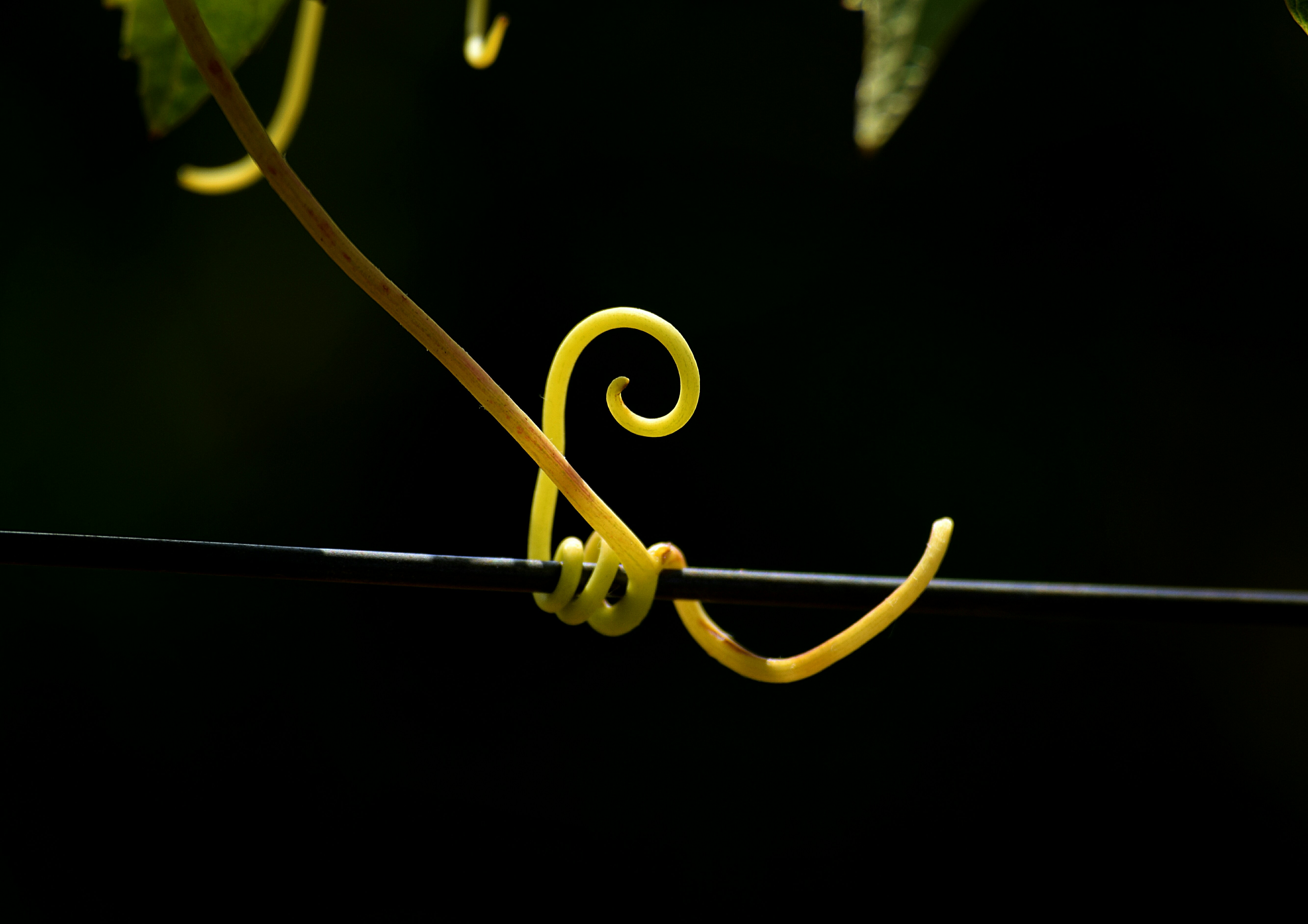 Free Unsplash photo from Enara Agirrezabala