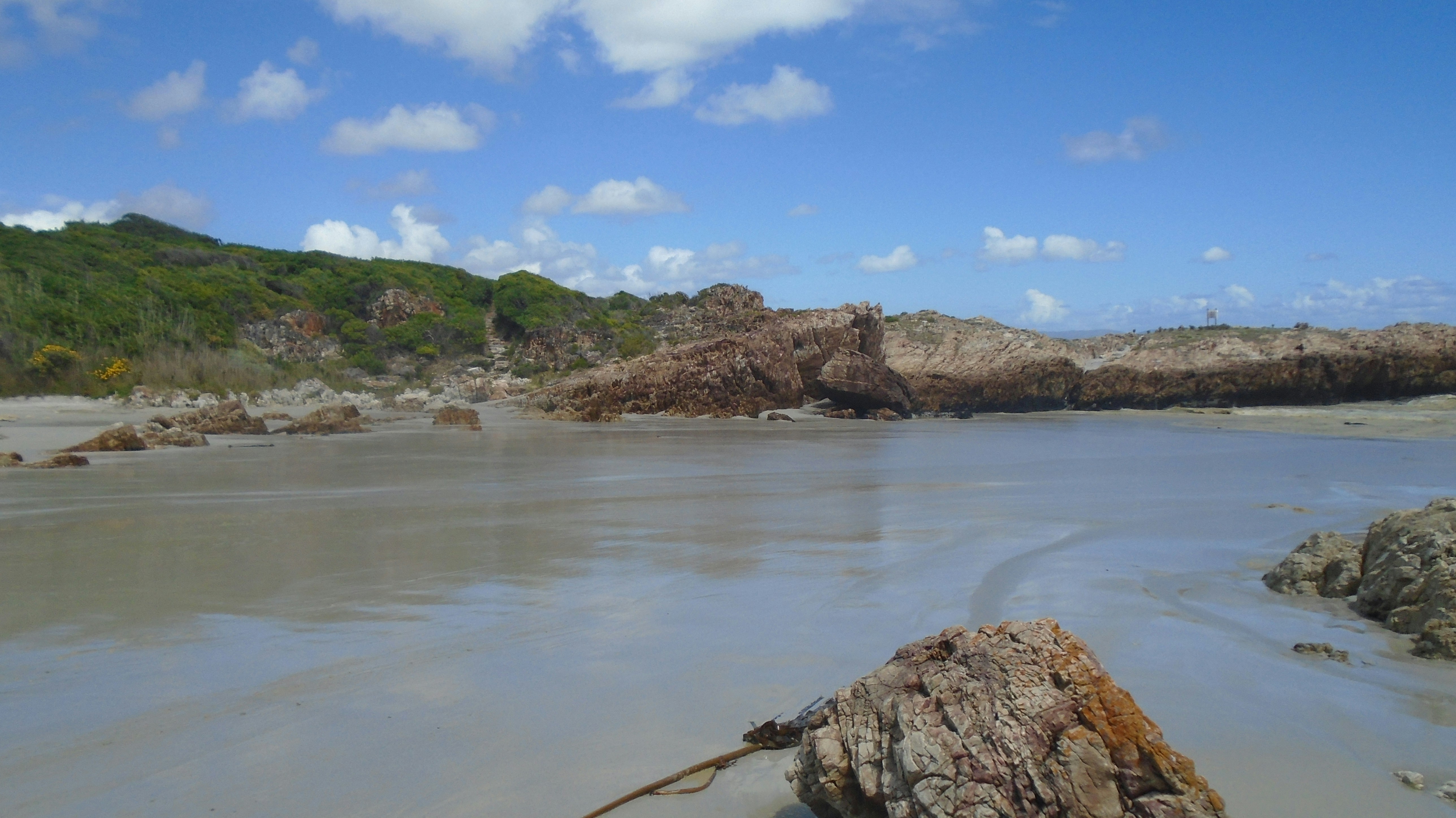 Free Unsplash photo from Elbert Matinka