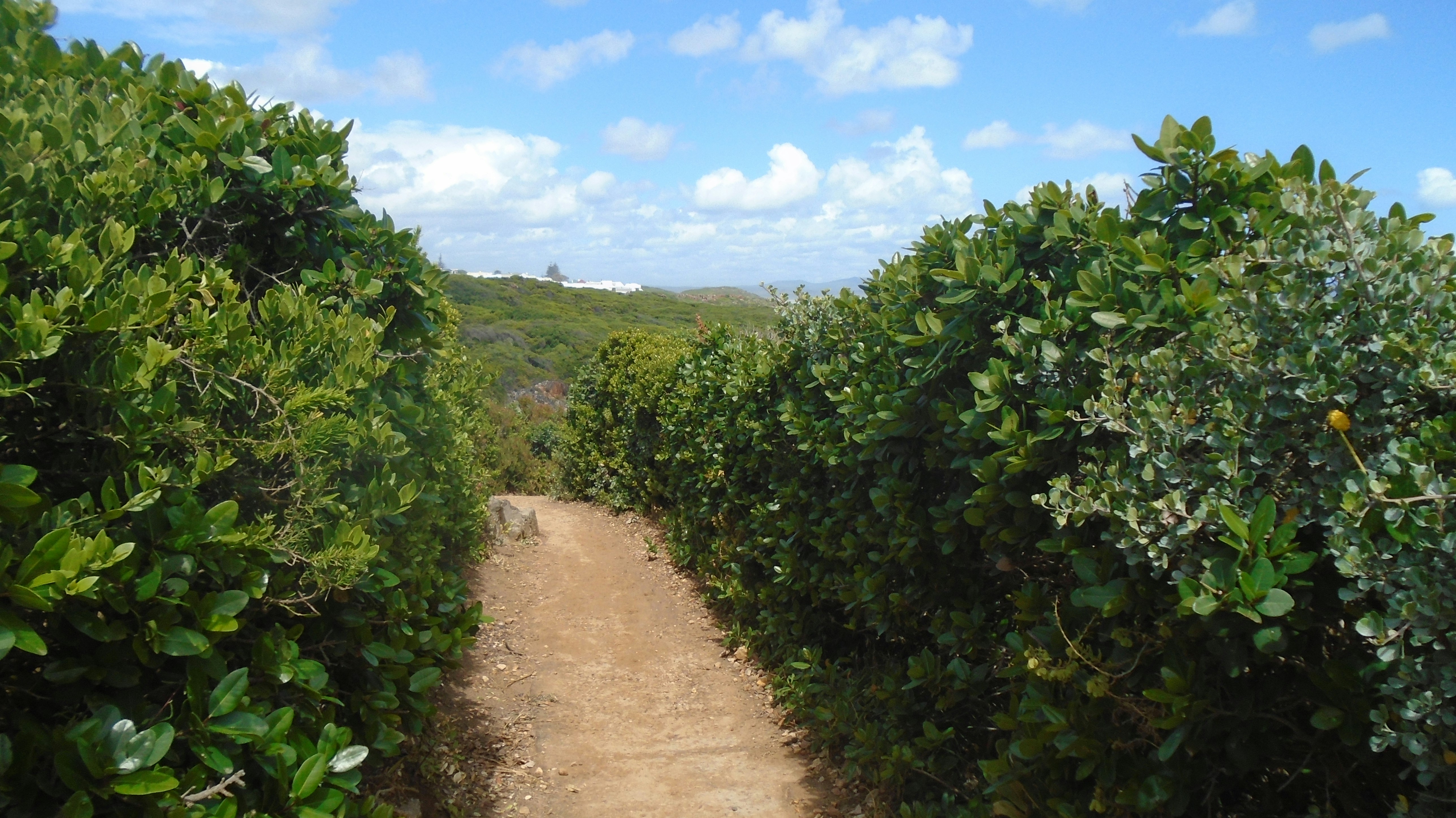 Free Unsplash photo from Elbert Matinka