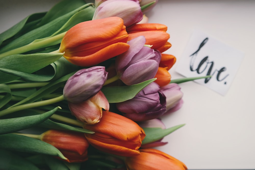 purple and orange tulips on white surface