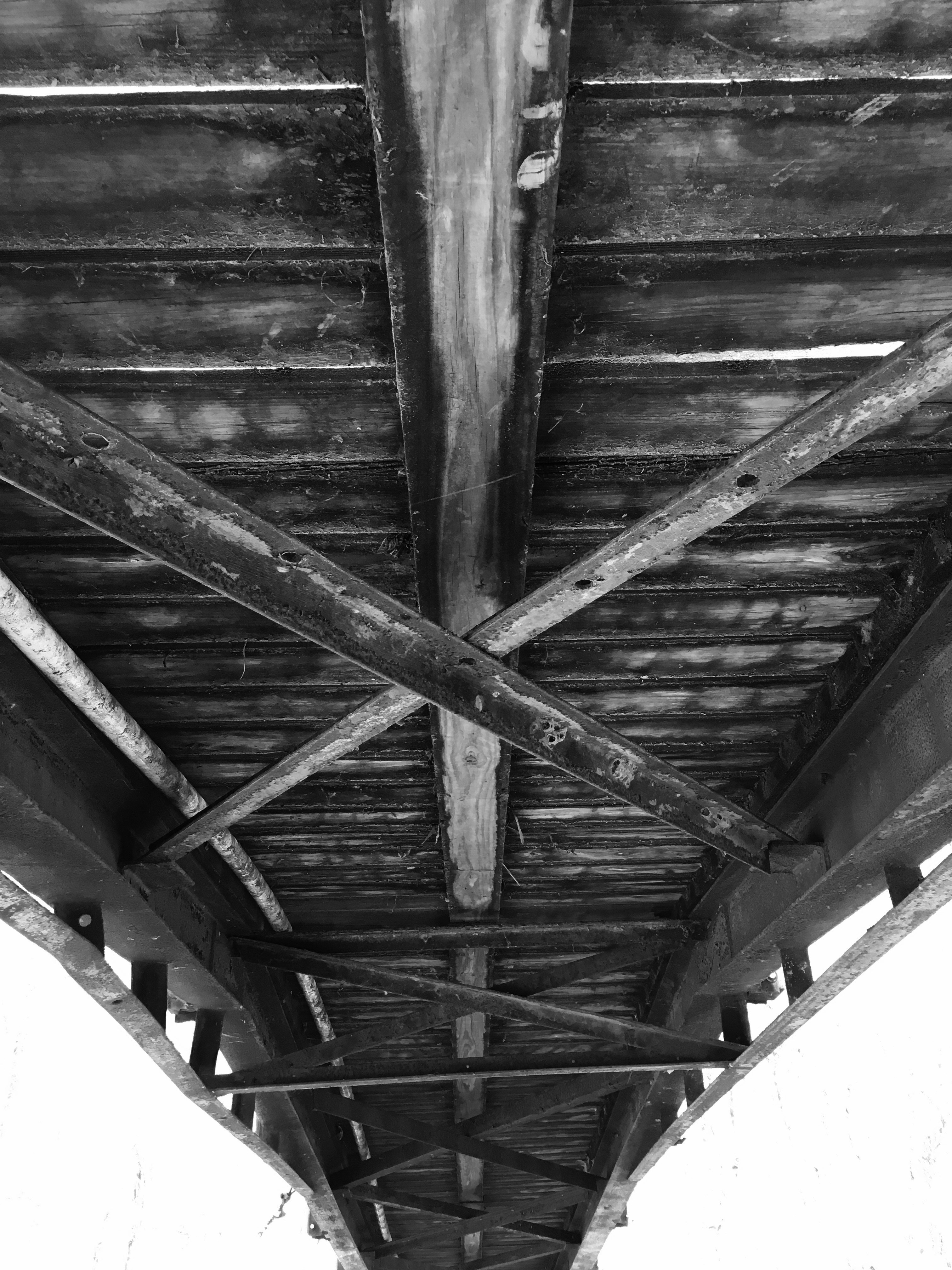 Free Unsplash photo from Rosalind  Wilson