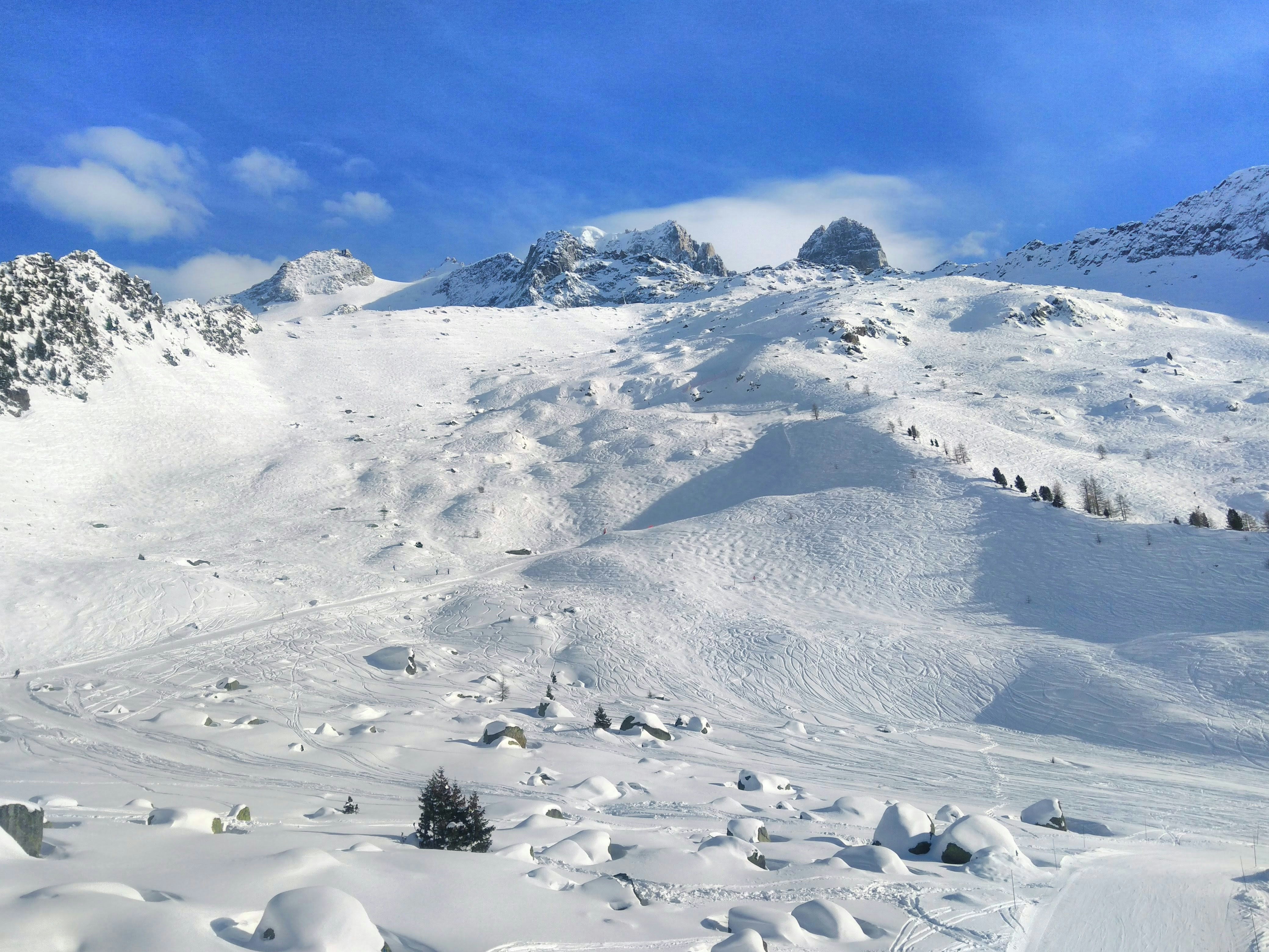 Free Unsplash photo from Mirek Mencel