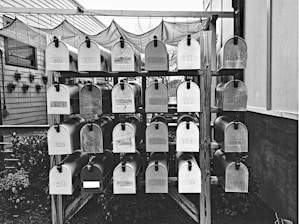 A collection of metal mailboxes is neatly arranged in several rows and columns on a wooden stand. Each mailbox is labeled with a number, indicating addresses or apartment units. The setting is outdoors, with some plants visible along the side of a building.