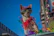 A cheerful small dog wearing a vibrant handmade dress, posing happily outdoors.
