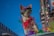 A small dog wearing colorful attire, including a red cap and goggles, stands against a vivid blue sky. It is adorned with a red bow and multicolored decorations, giving a festive appearance. The background includes blurred urban elements and bright, colorful lights, suggesting a parade or celebration setting.