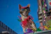 A joyful small dog wearing a handmade vibrant dress, sitting on a colorful blanket outdoors.