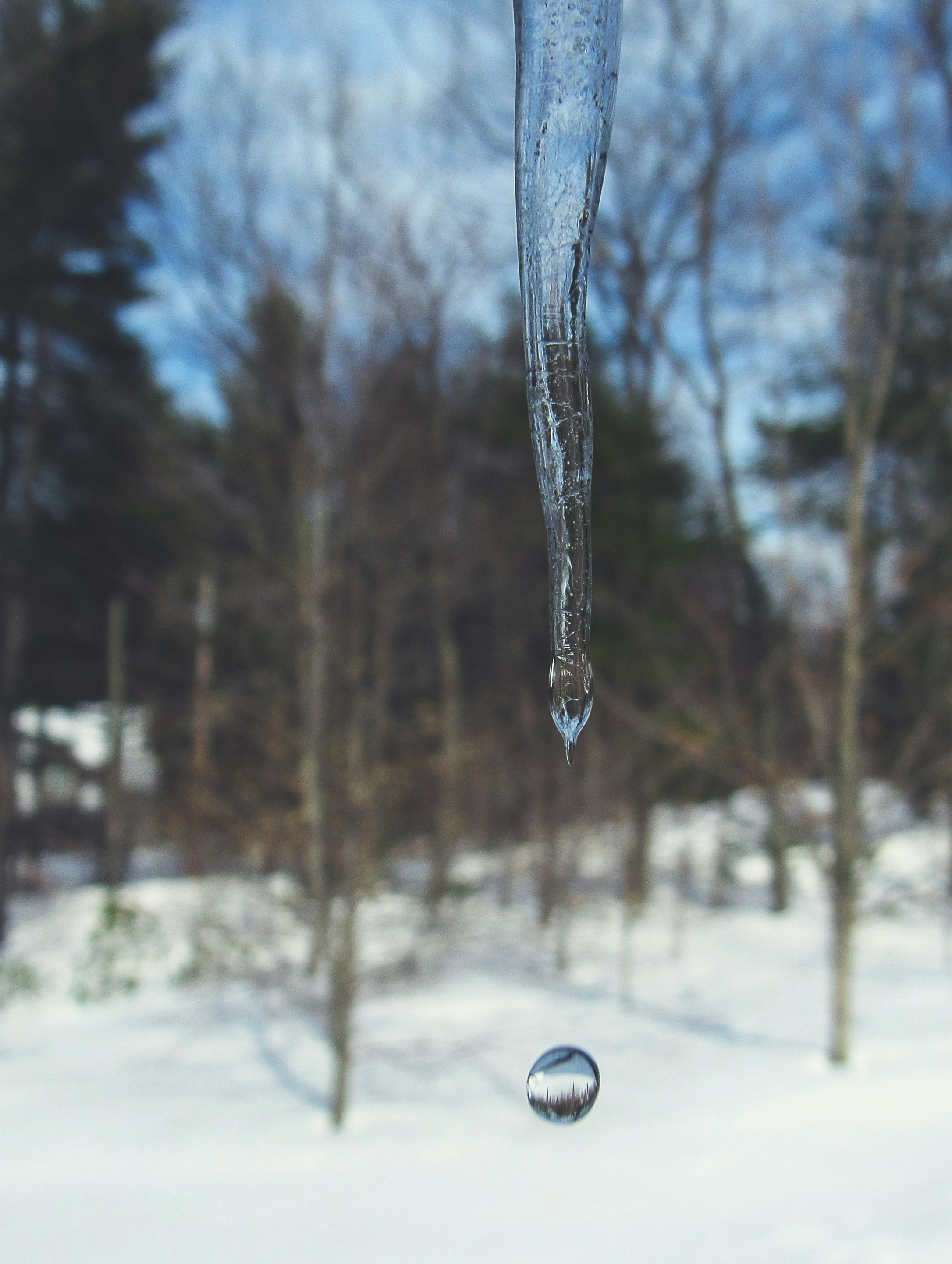 Free Unsplash photo from Forest Simon