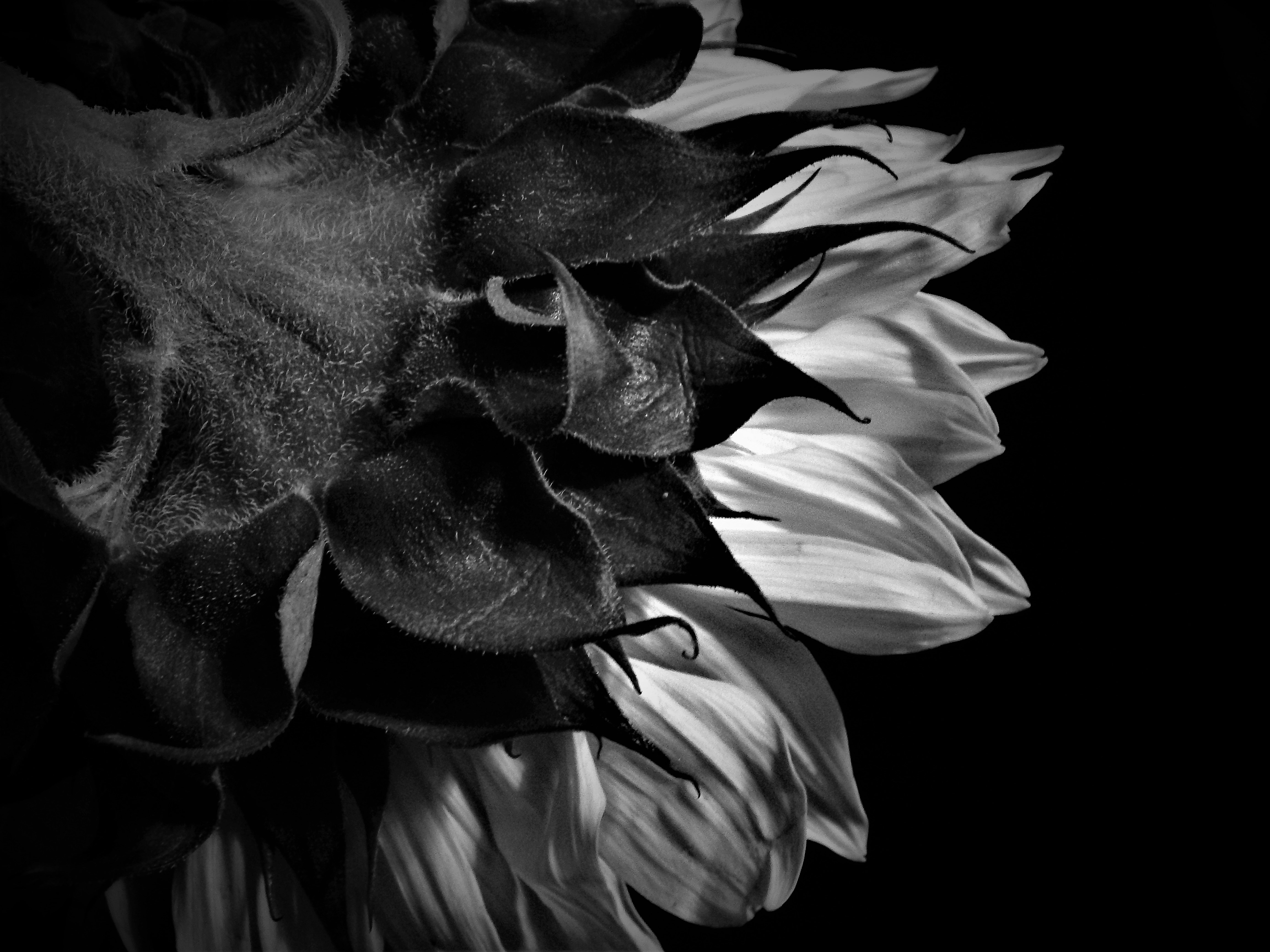 Free Unsplash photo from Thomas Bright