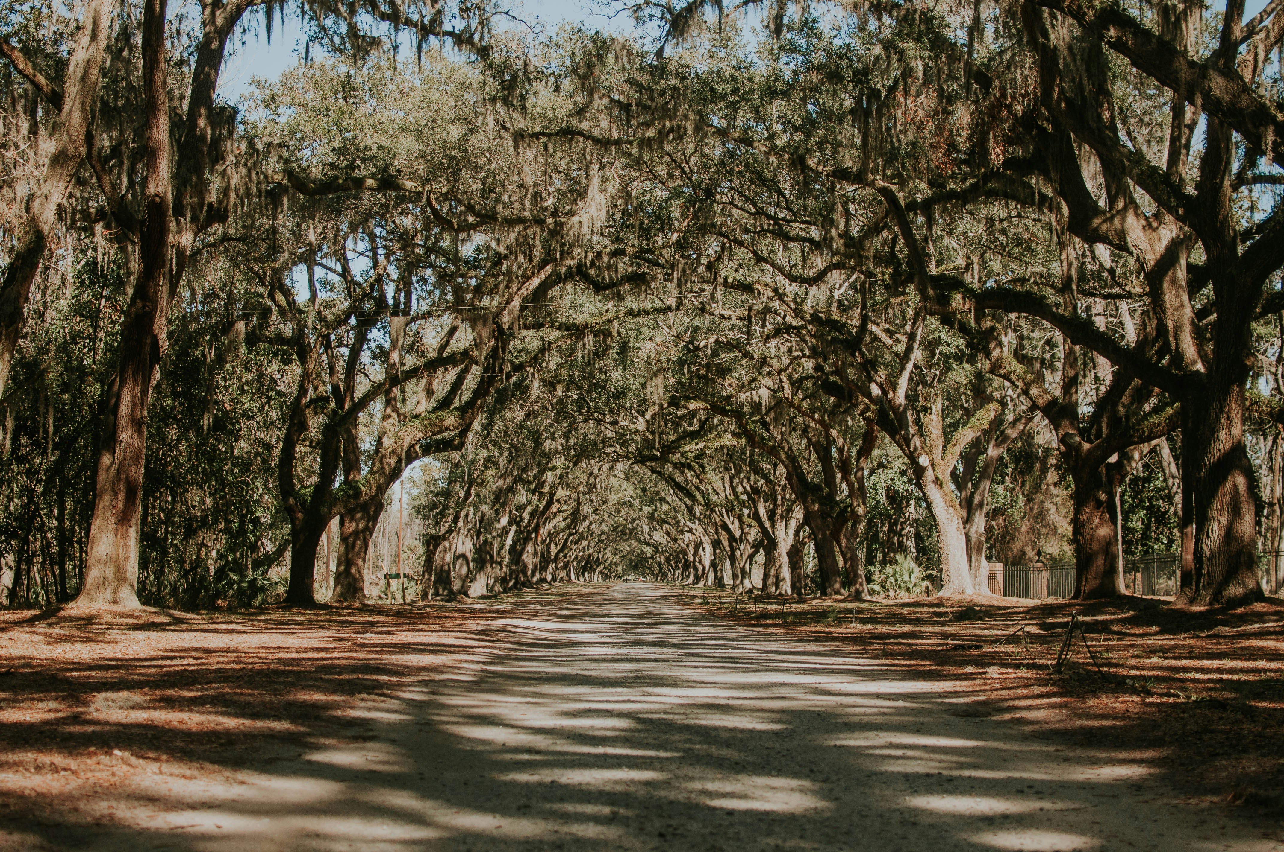 Wormsloe