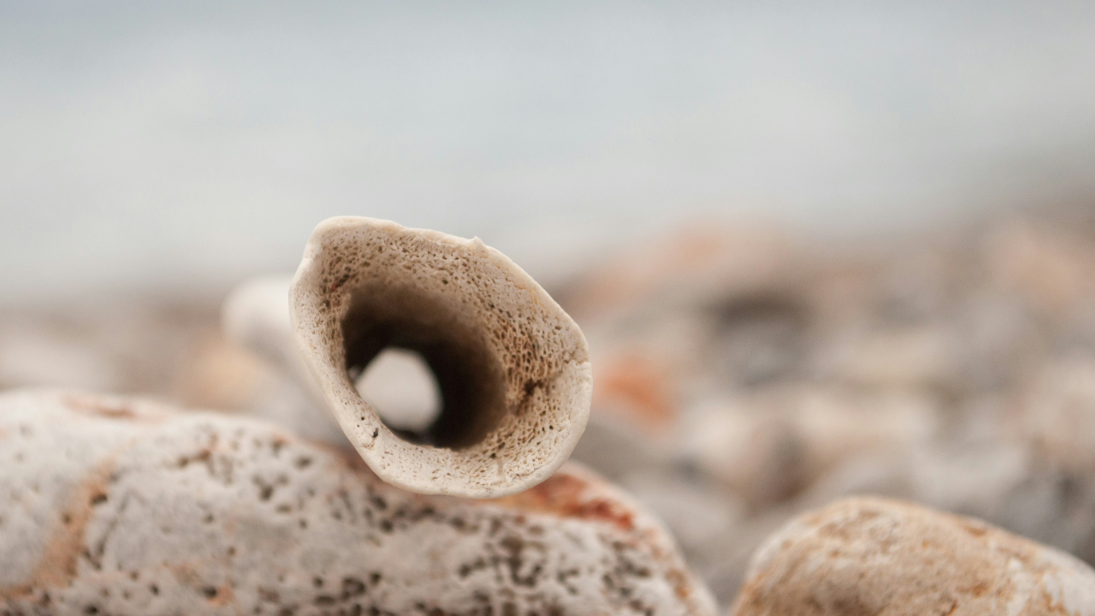 Free Unsplash photo from Filippo Buscaroli