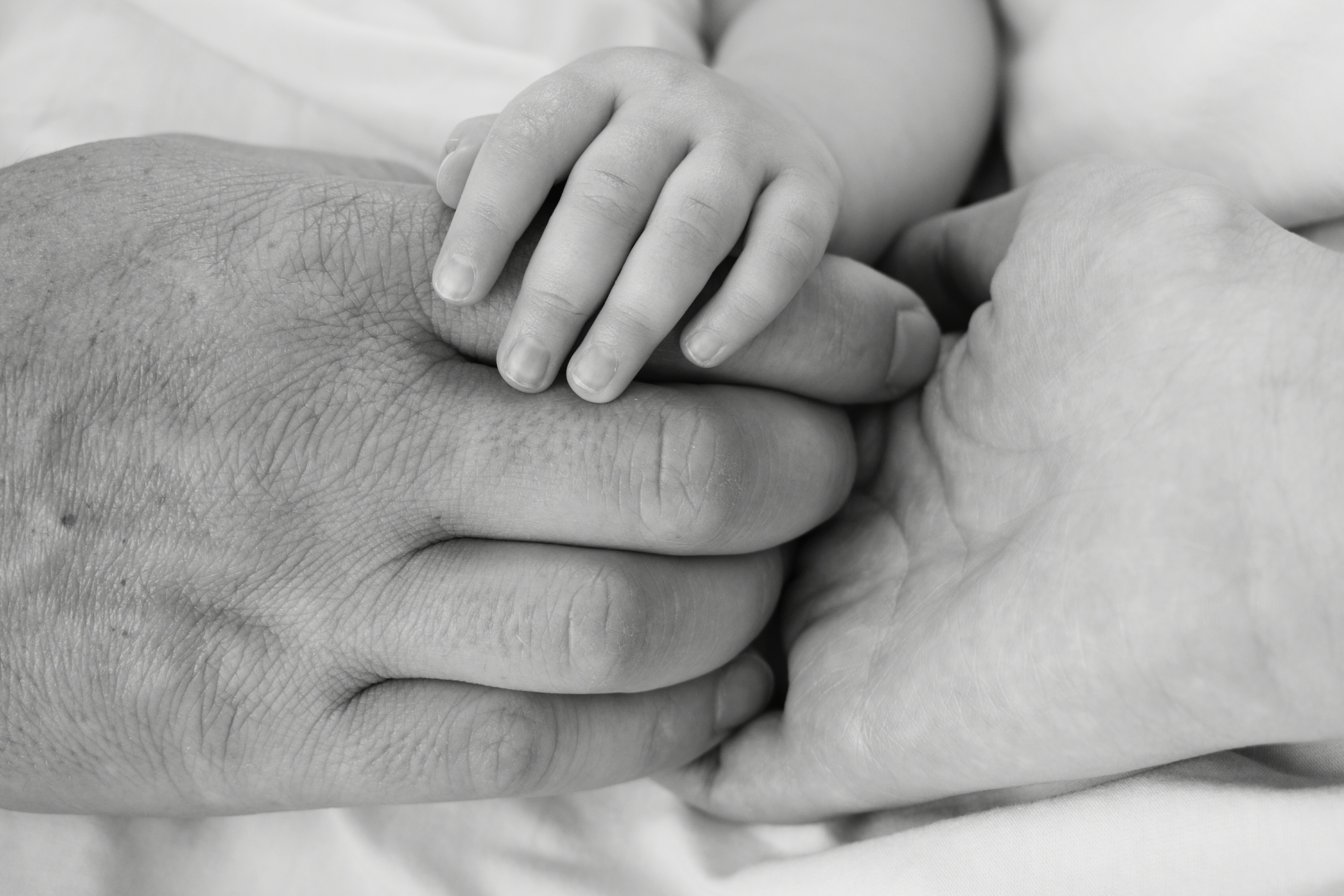 Free Unsplash photo from Enara Agirrezabala