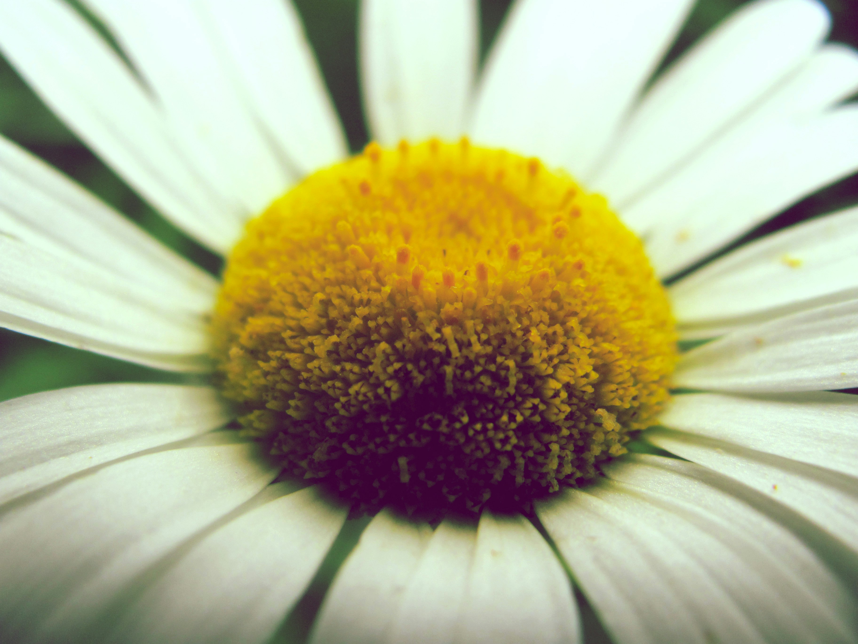 Free Unsplash photo from Joshua Rodriguez