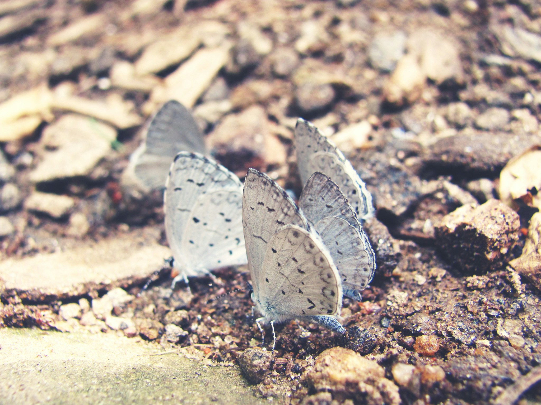 Free Unsplash photo from Joshua Rodriguez