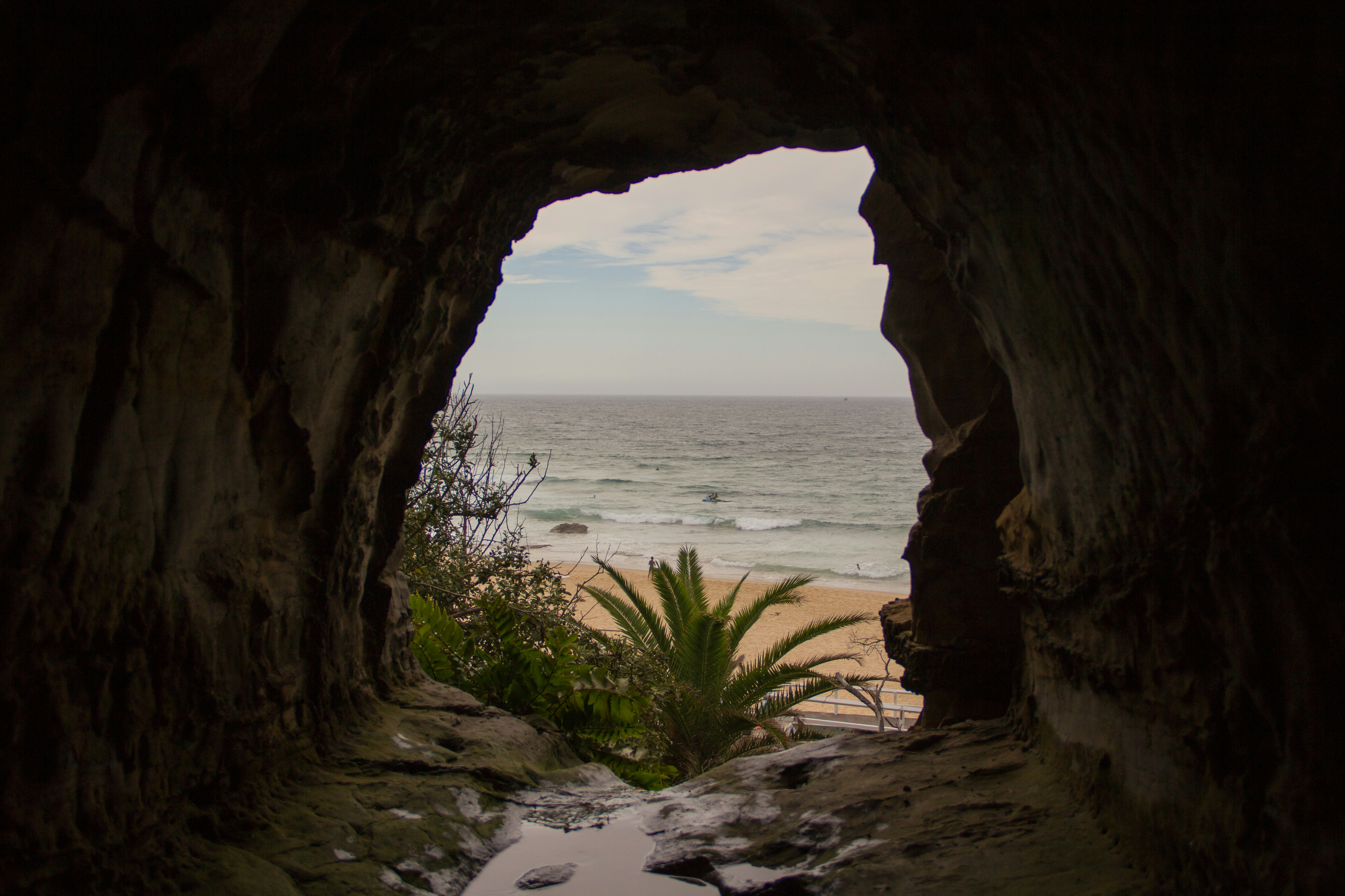 Free Unsplash photo from Dylan Collette