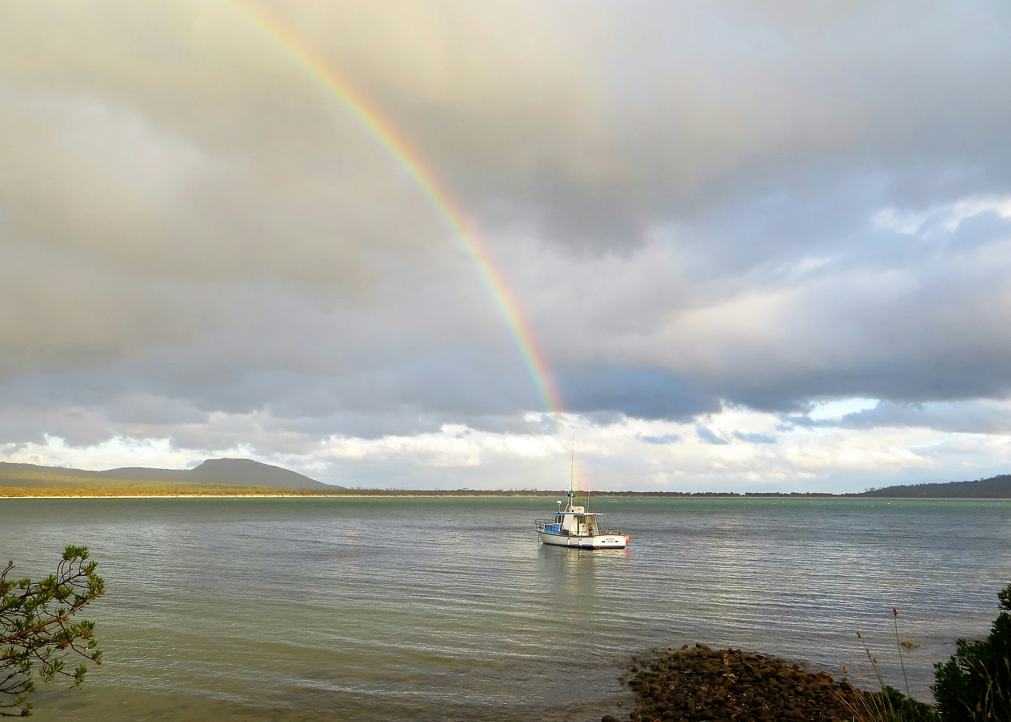 Free Unsplash photo from Peter Millard