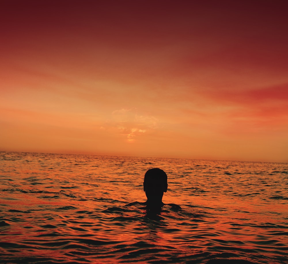 silhouette of person in ocean during sunset