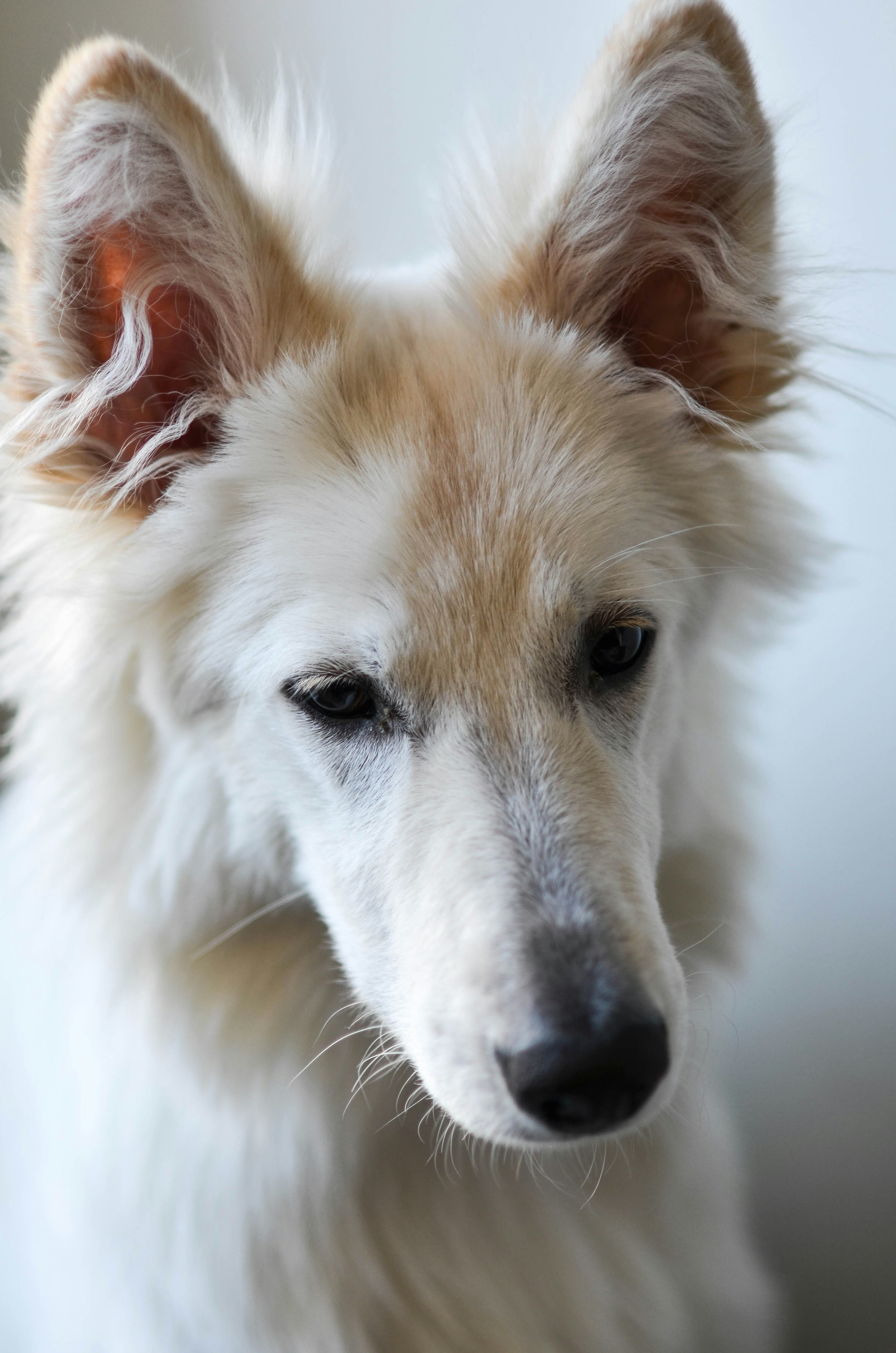 Free Unsplash photo from Bora Alap