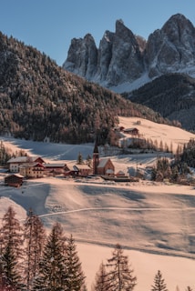 houses on mountain hill