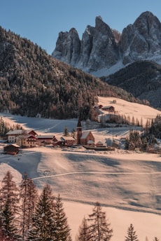 houses on mountain hill
