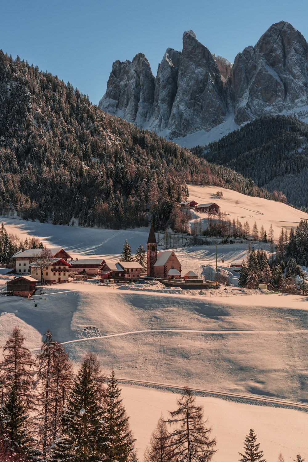 houses on mountain hill