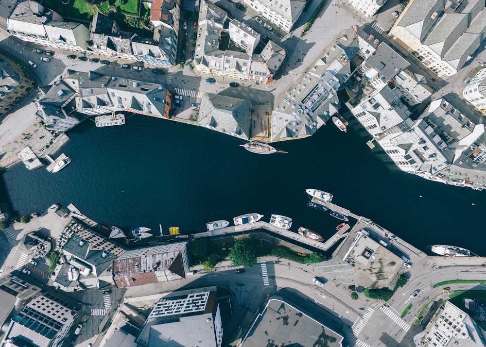 aerial photography of river in the middle of concrete buildings