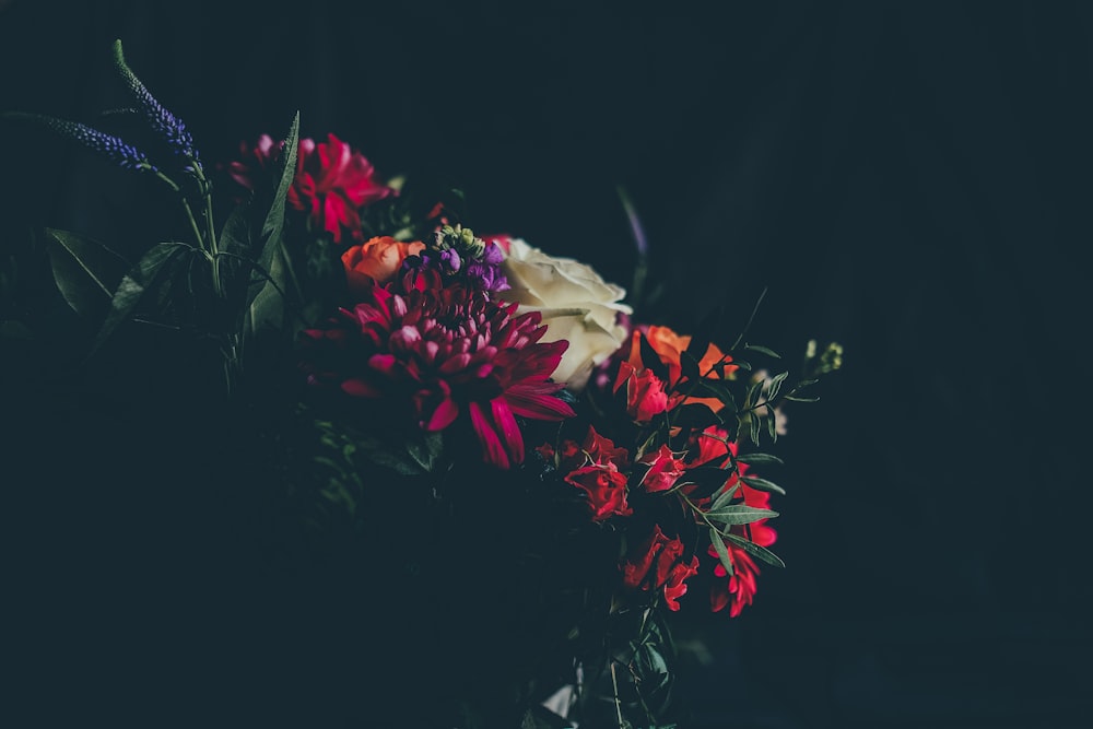 Fotografía selectiva de flores naranjas, rojas y amarillas