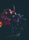 A vibrant floral arrangement with dark background.