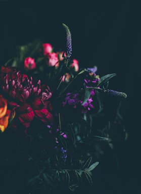 A moody, dark floral arrangement featuring deep scarlet roses and peonies against a black background.